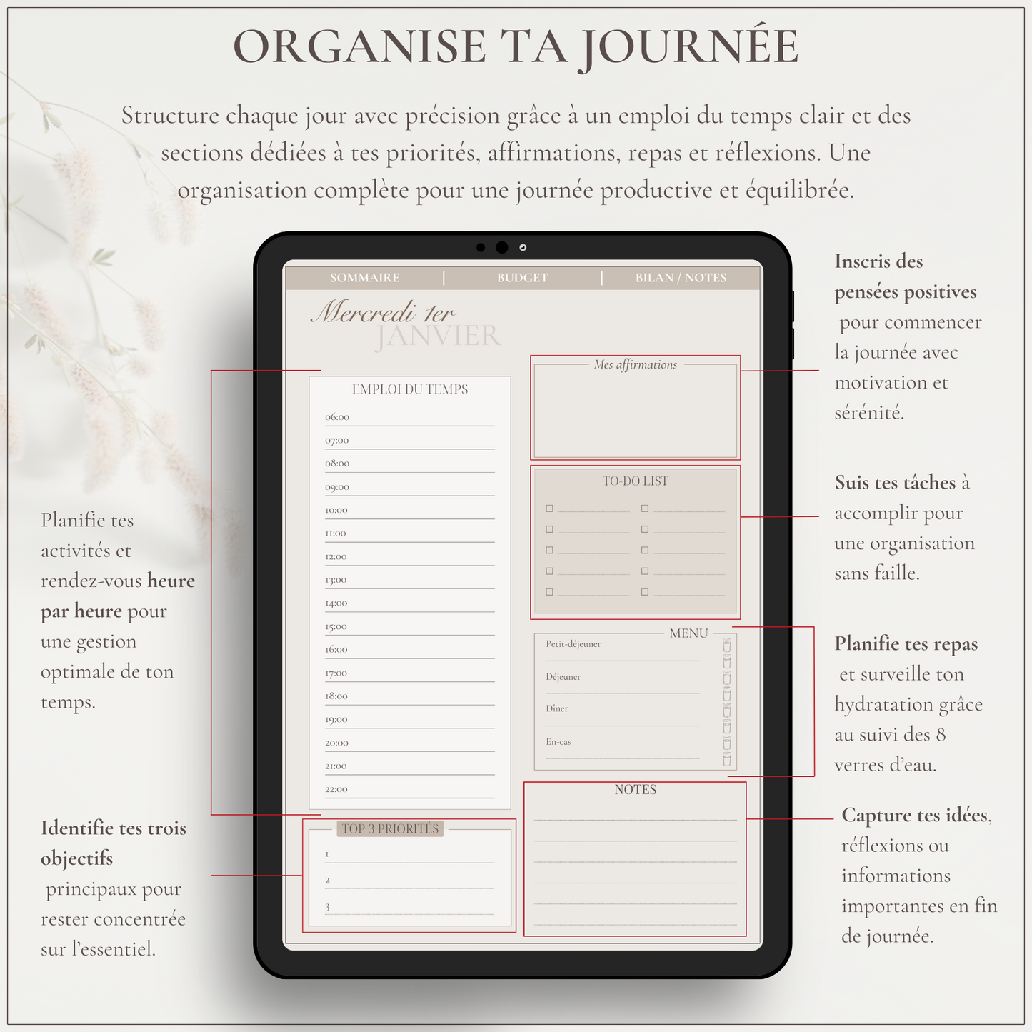 L’essentiel Mensuel - JANVIER 2025 - Le Dandy Élégant