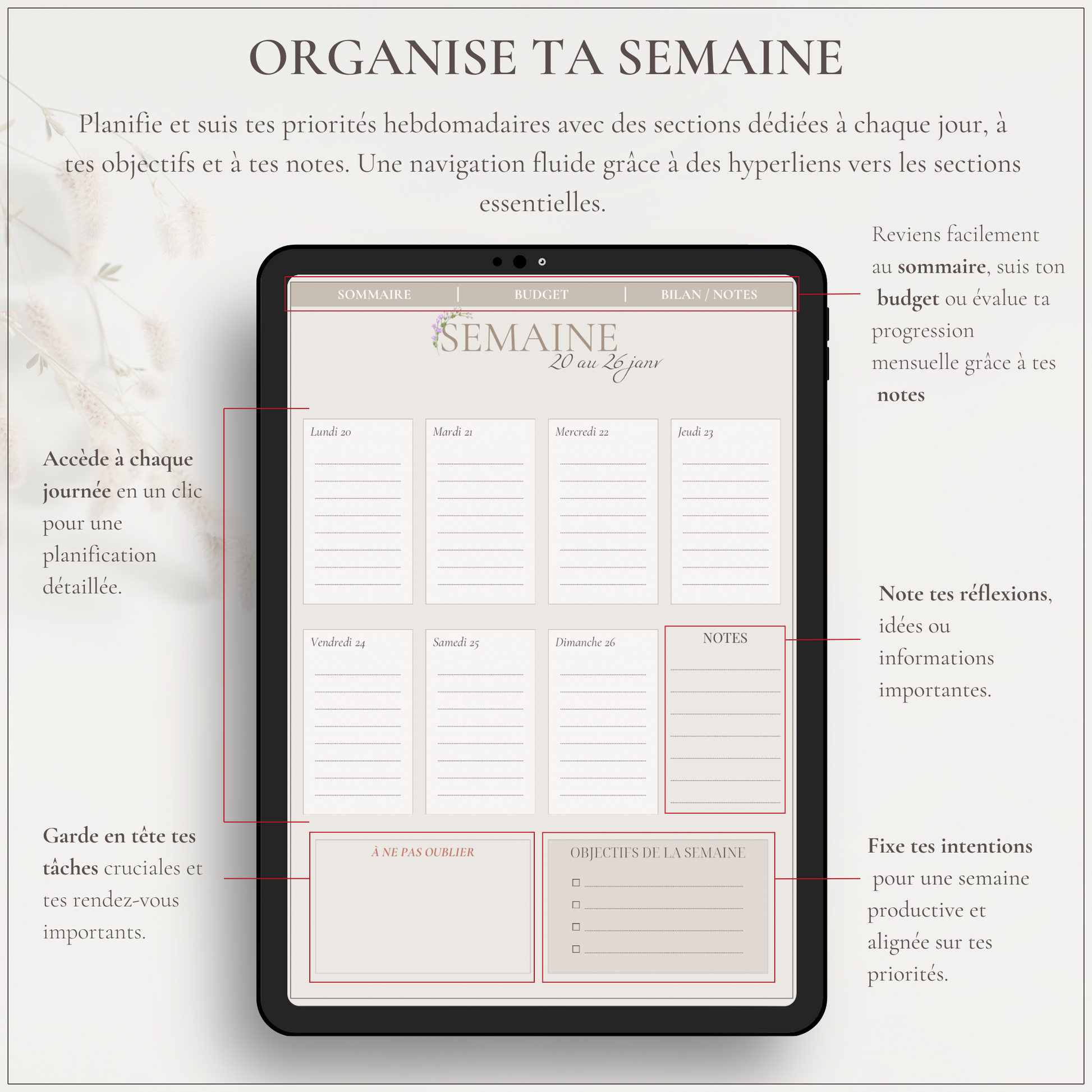 L’essentiel Mensuel - JANVIER 2025 - Le Dandy Élégant