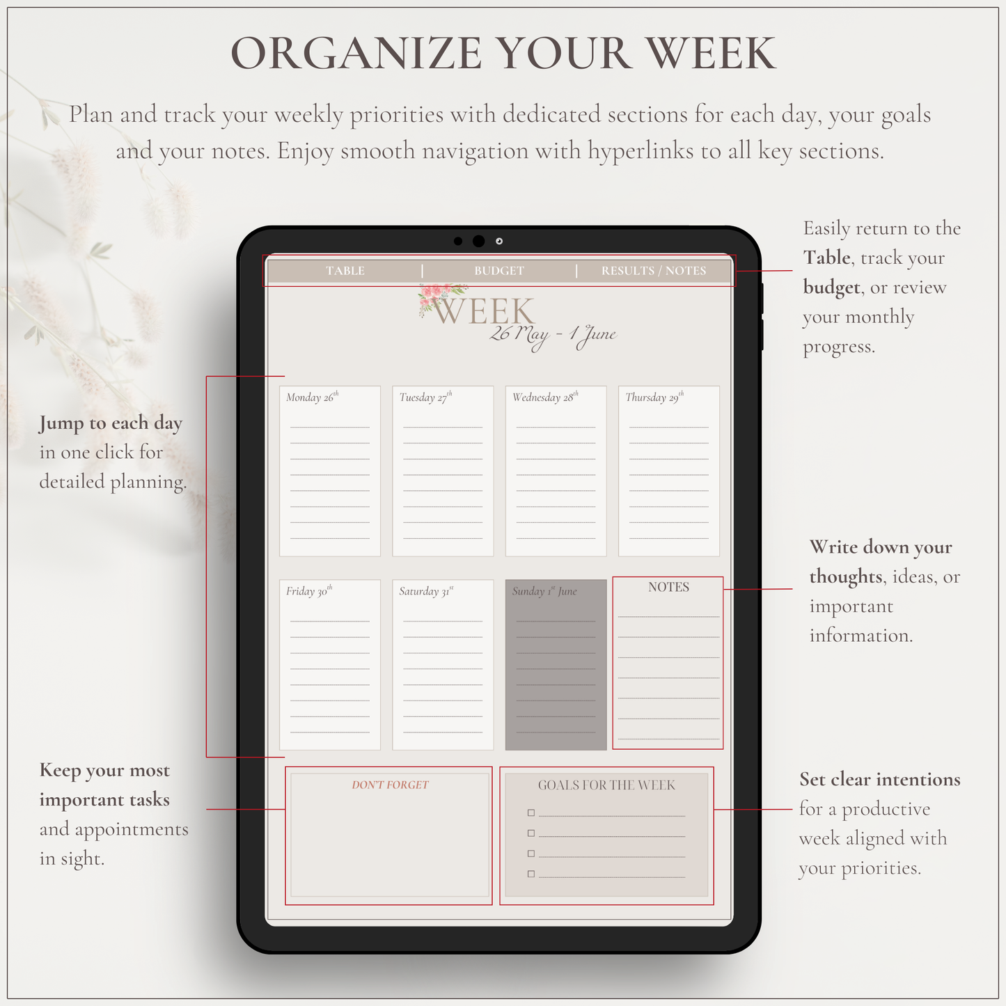 The Essentials - Le Dandy Élégant