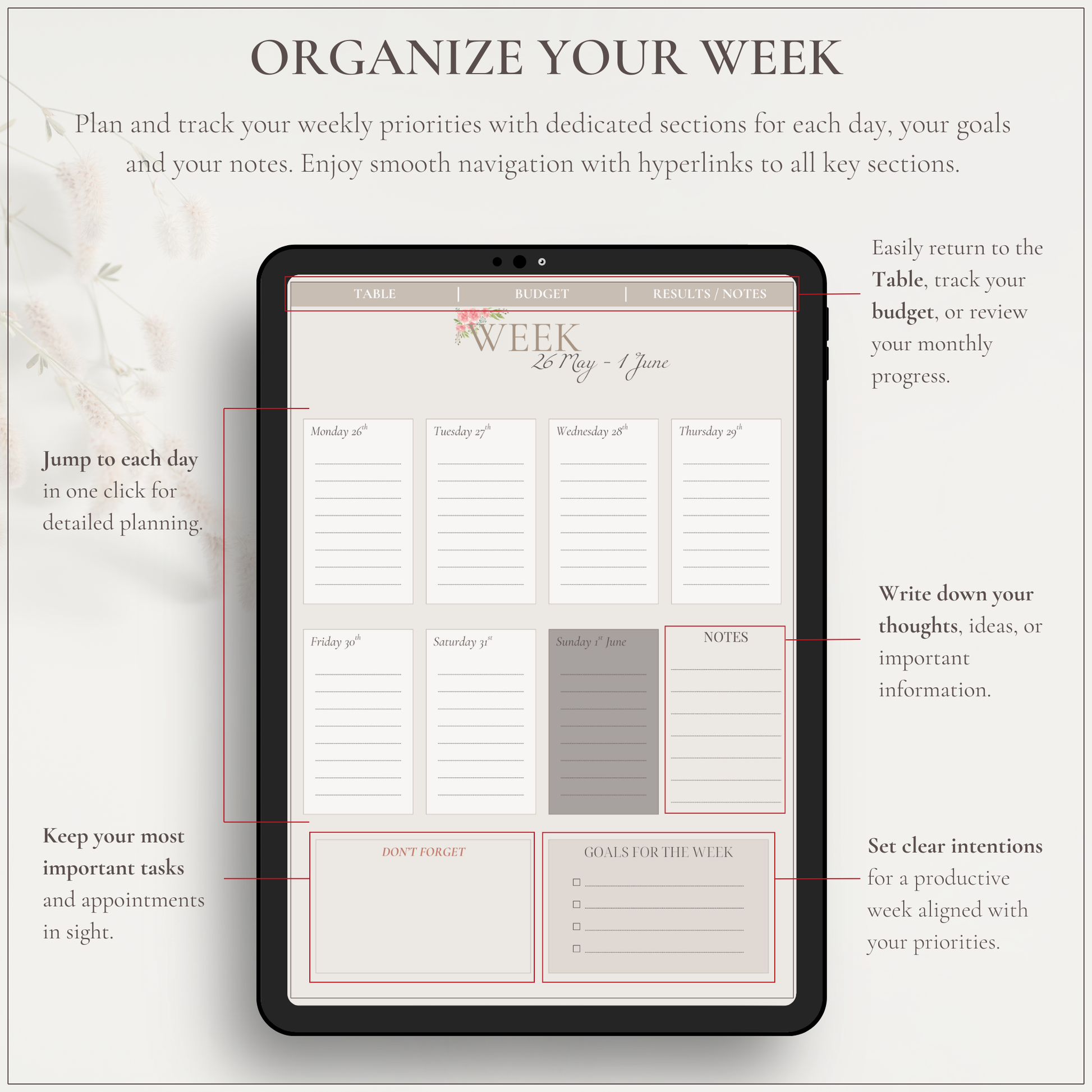 The Essentials - Le Dandy Élégant